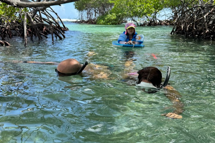 a group of people swimming in the water