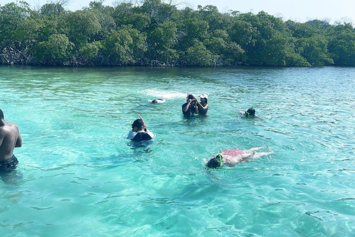 a group of people swimming in a pool of water